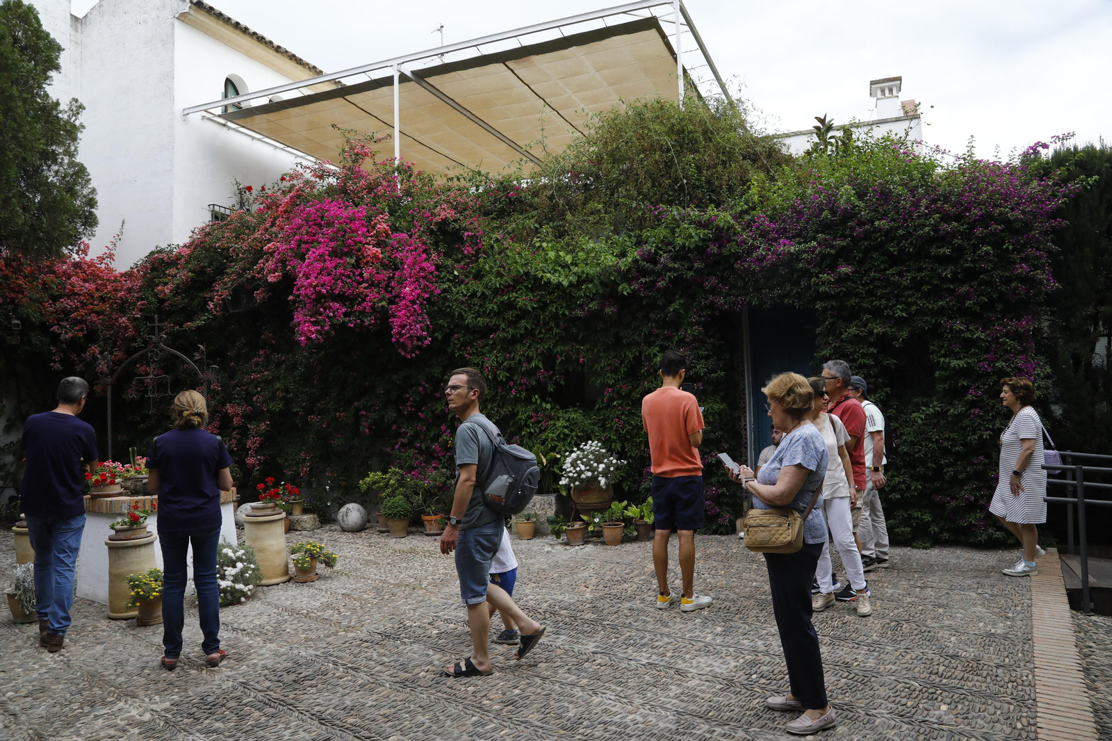 La jornada de puertas abiertas en el Palacio de Viana de Cordoba, en imágenes