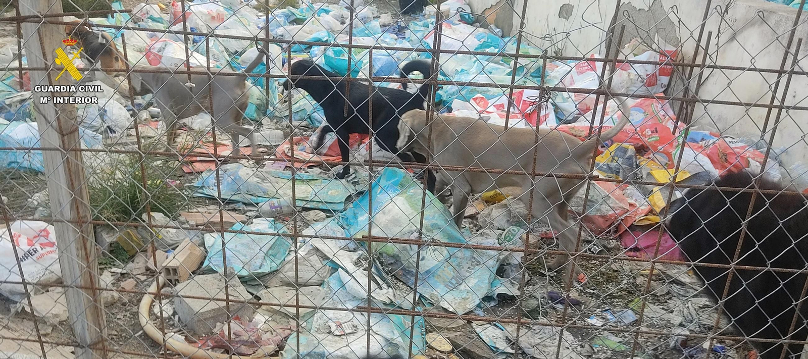 Imagen de la operación 'Sanctumer'