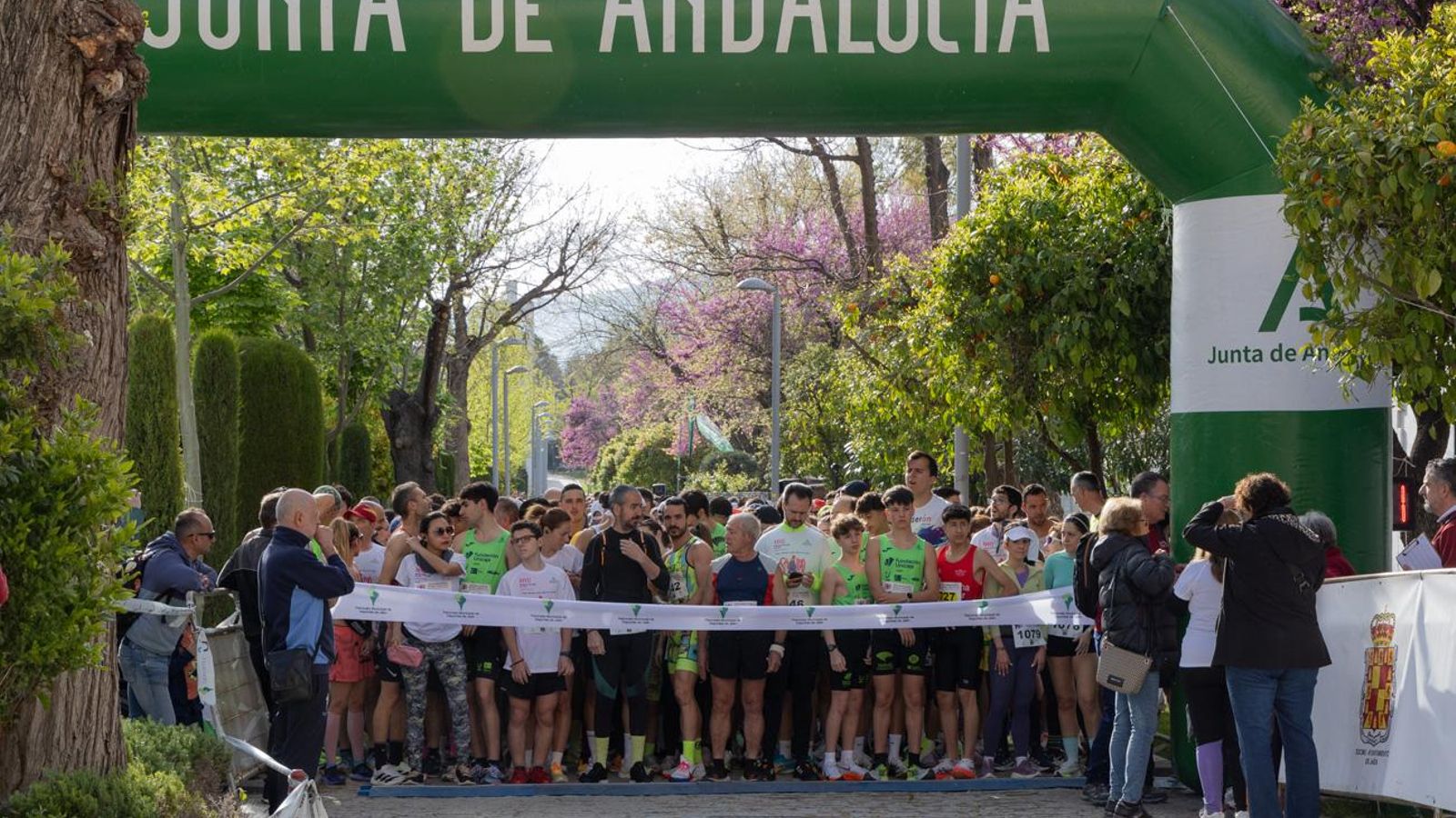 Más de 2.100 participantes corren para promover la salud en Jaén, en imágenes (1)