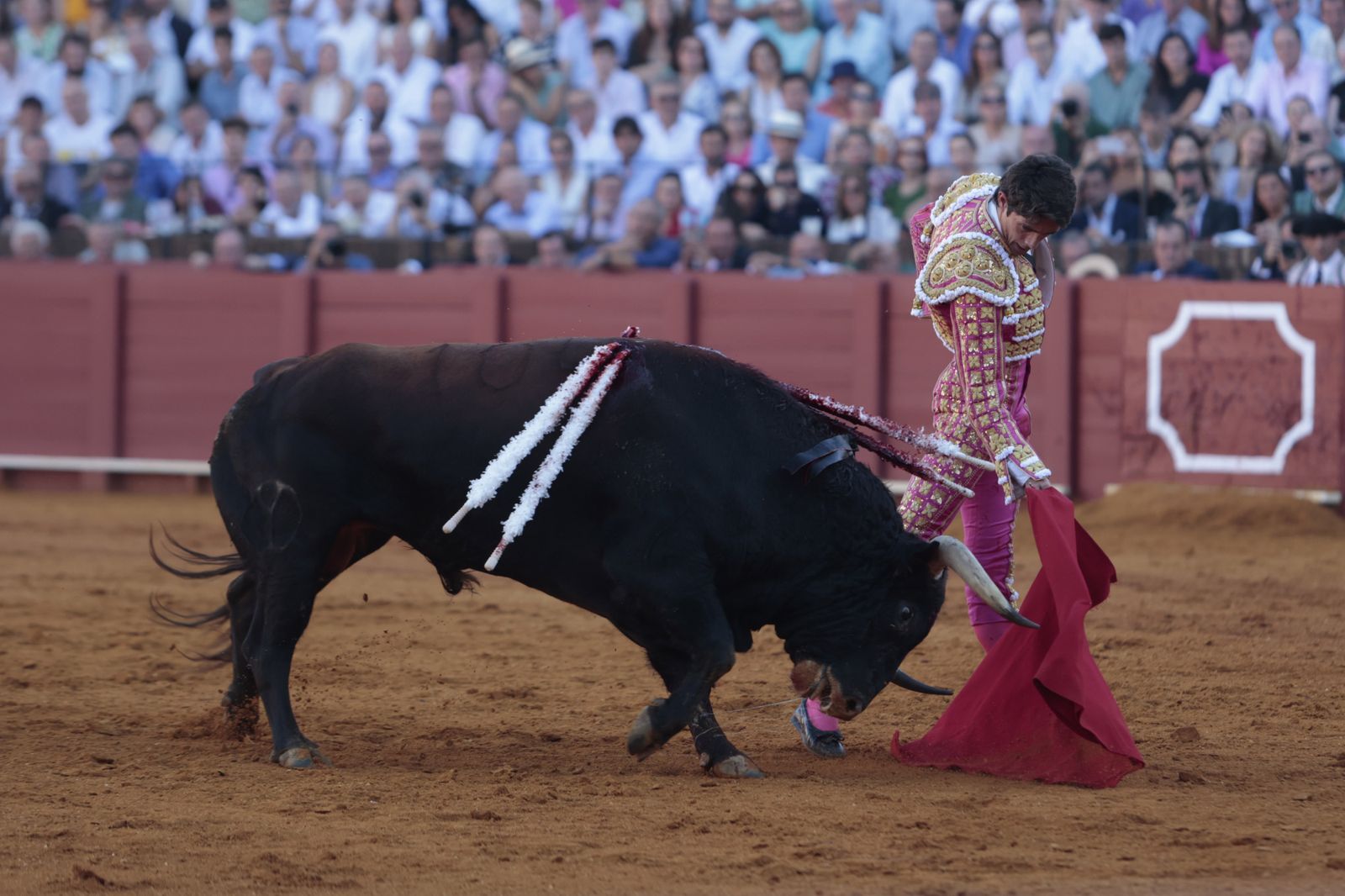 El triunfo de Castella en imágenes