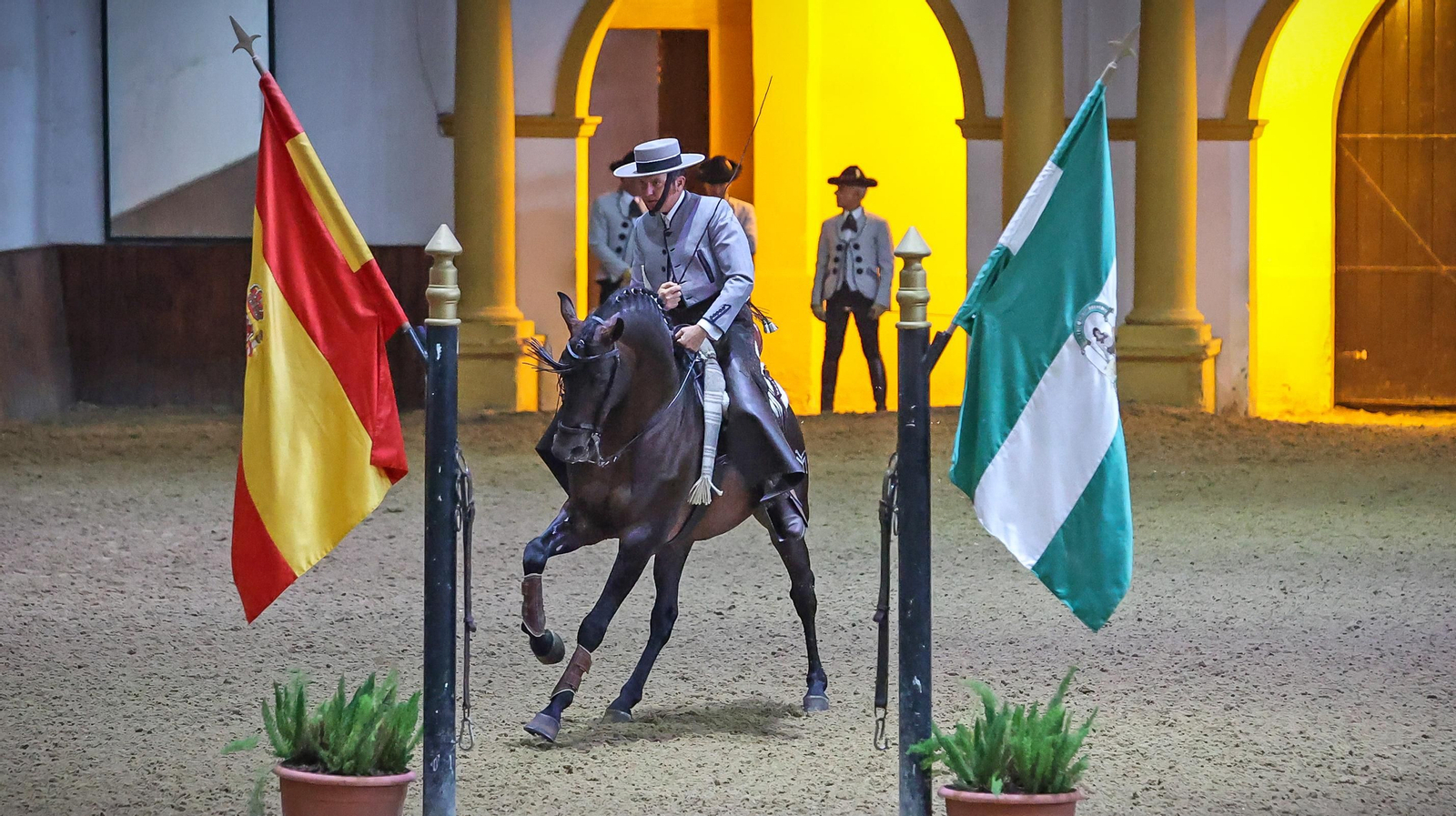 'Día Mundial del Caballo' en la Real Escuela de Jerez