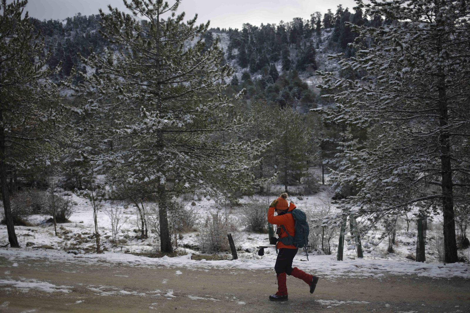 La excursiones a los parajes nevados de Málaga, en imágenes