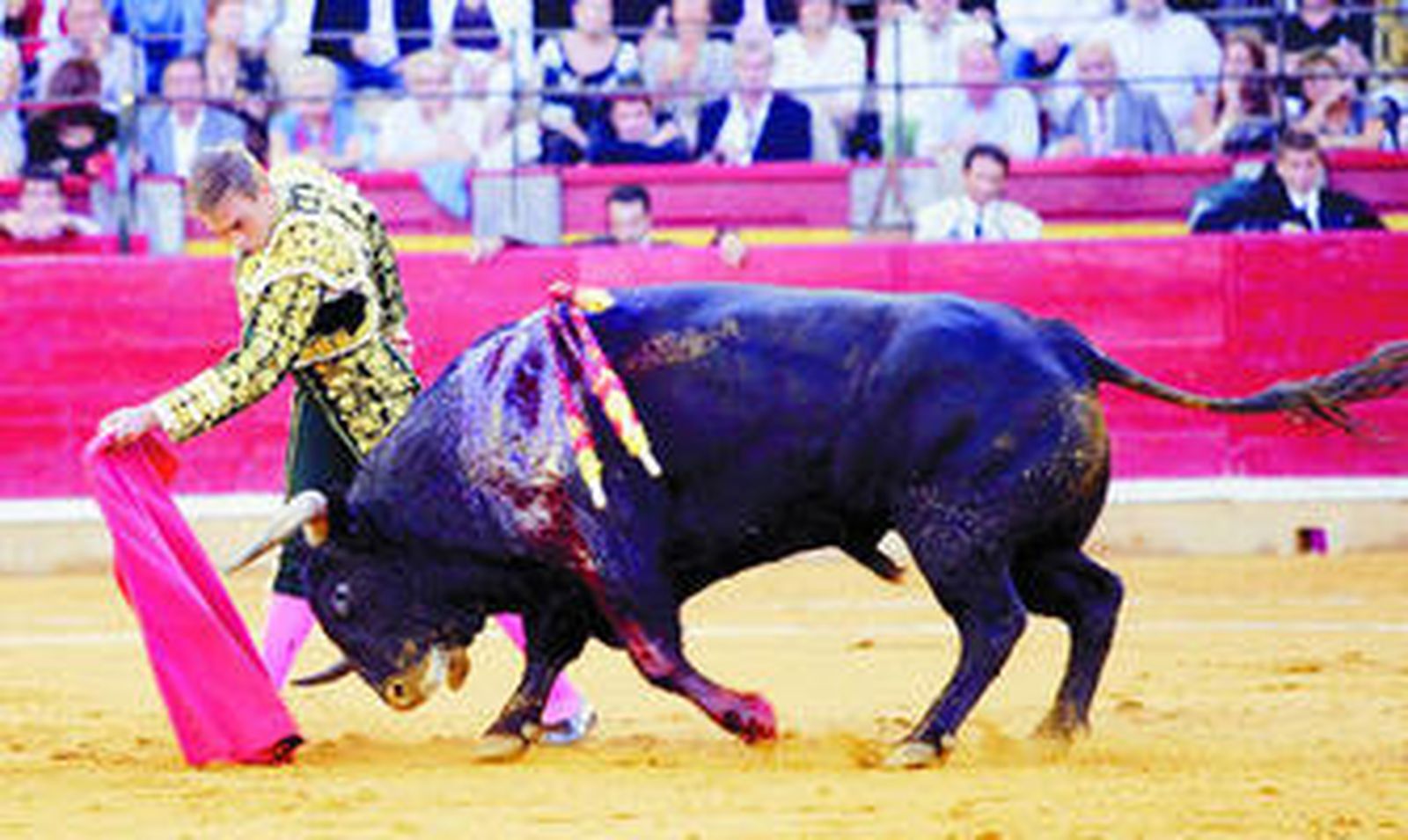 El diestro vallisoletano Manolo Sánchez, en un muletazo al quinto toro, al que cortó una oreja.