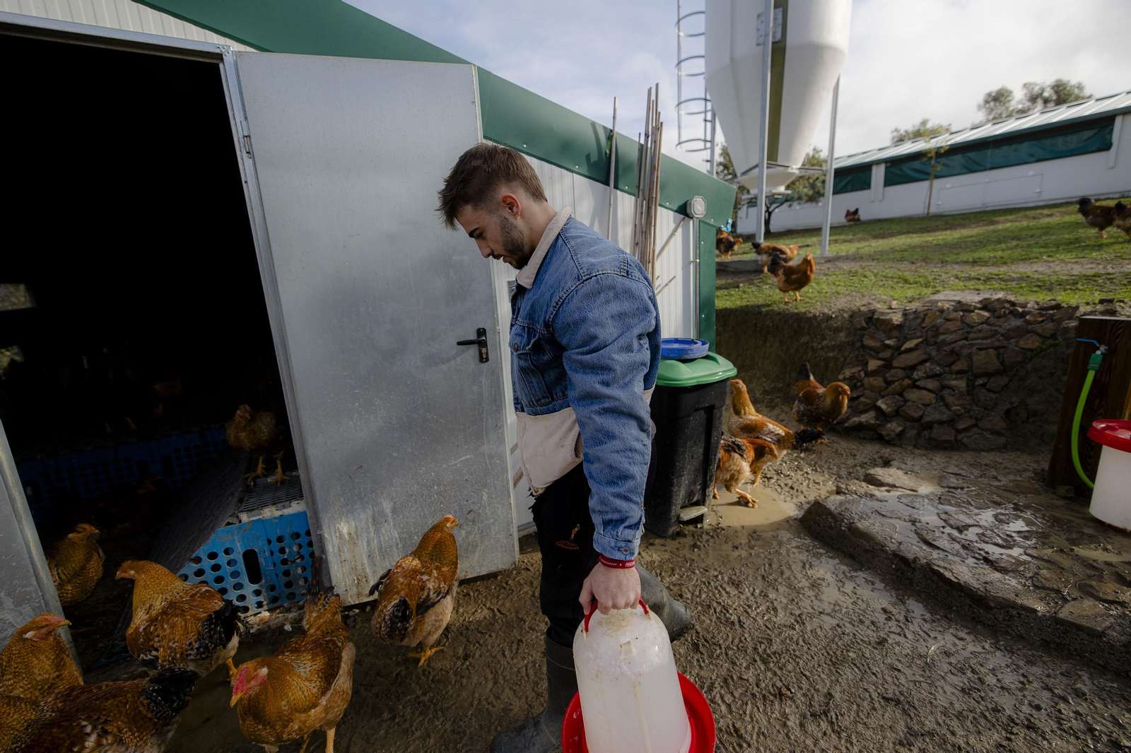 Imágenes de la finca "Loma Verde"; dedicada a la cría de capones y pulardas en libertad.
