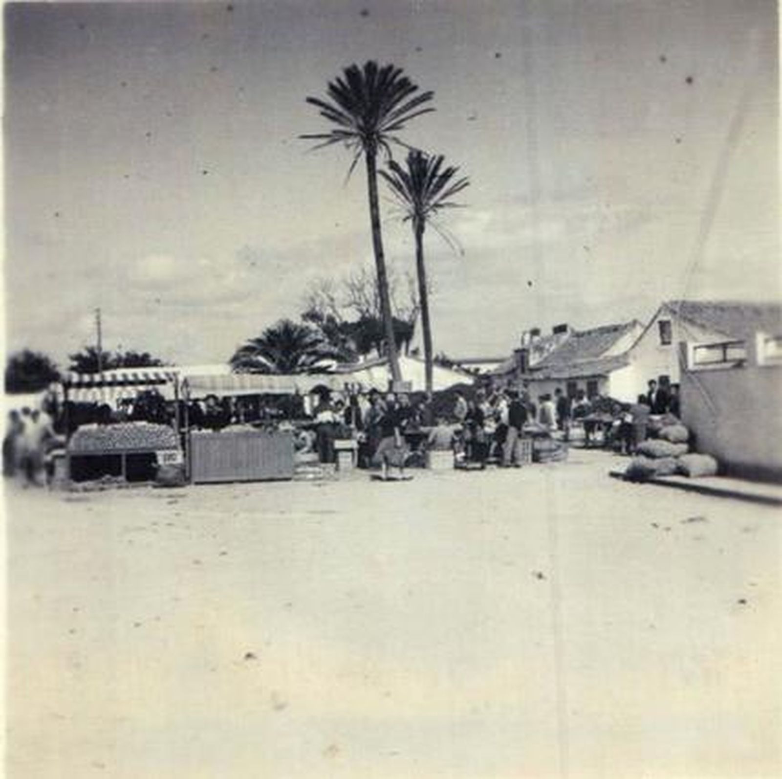 Foto: Grupo de Facebook La L?a en Blanco y Negro