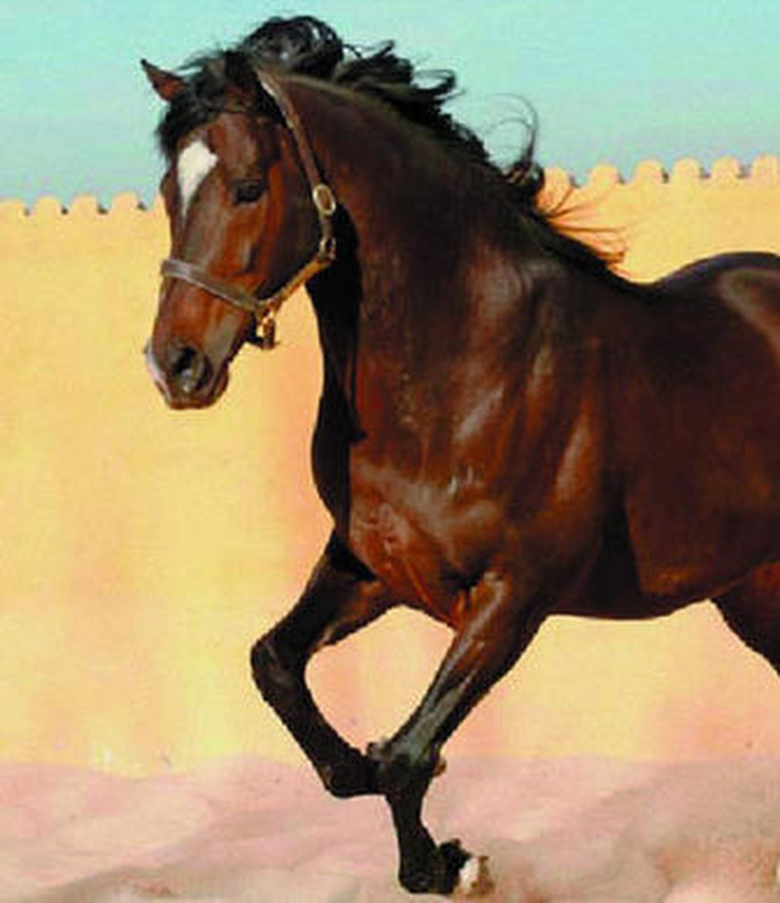 Magnífica estampa de 'Sherman'.