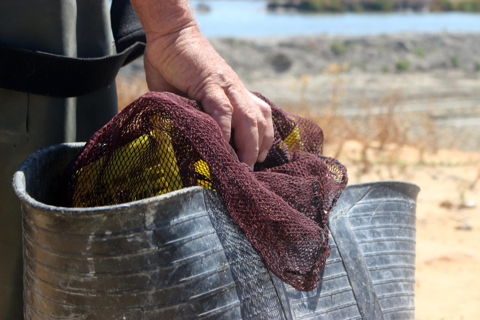 La recuperación de la Salina Balbanera, en imágenes