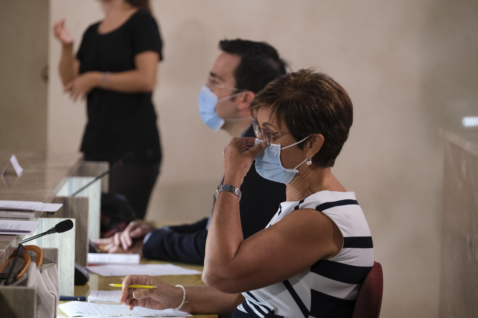 Fotogalería pleno ordinario del Ayuntamiento de Almería