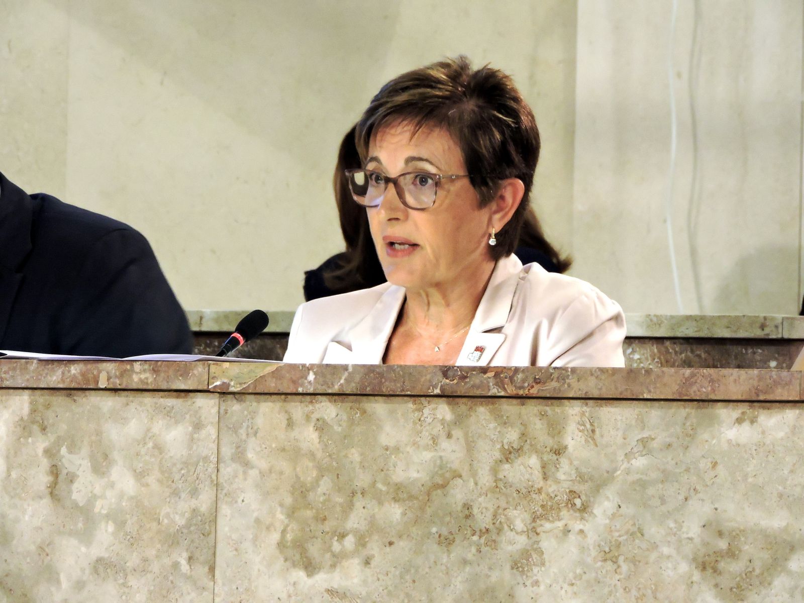 Adriana Valverde, en el Pleno celebrado este pasado lunes