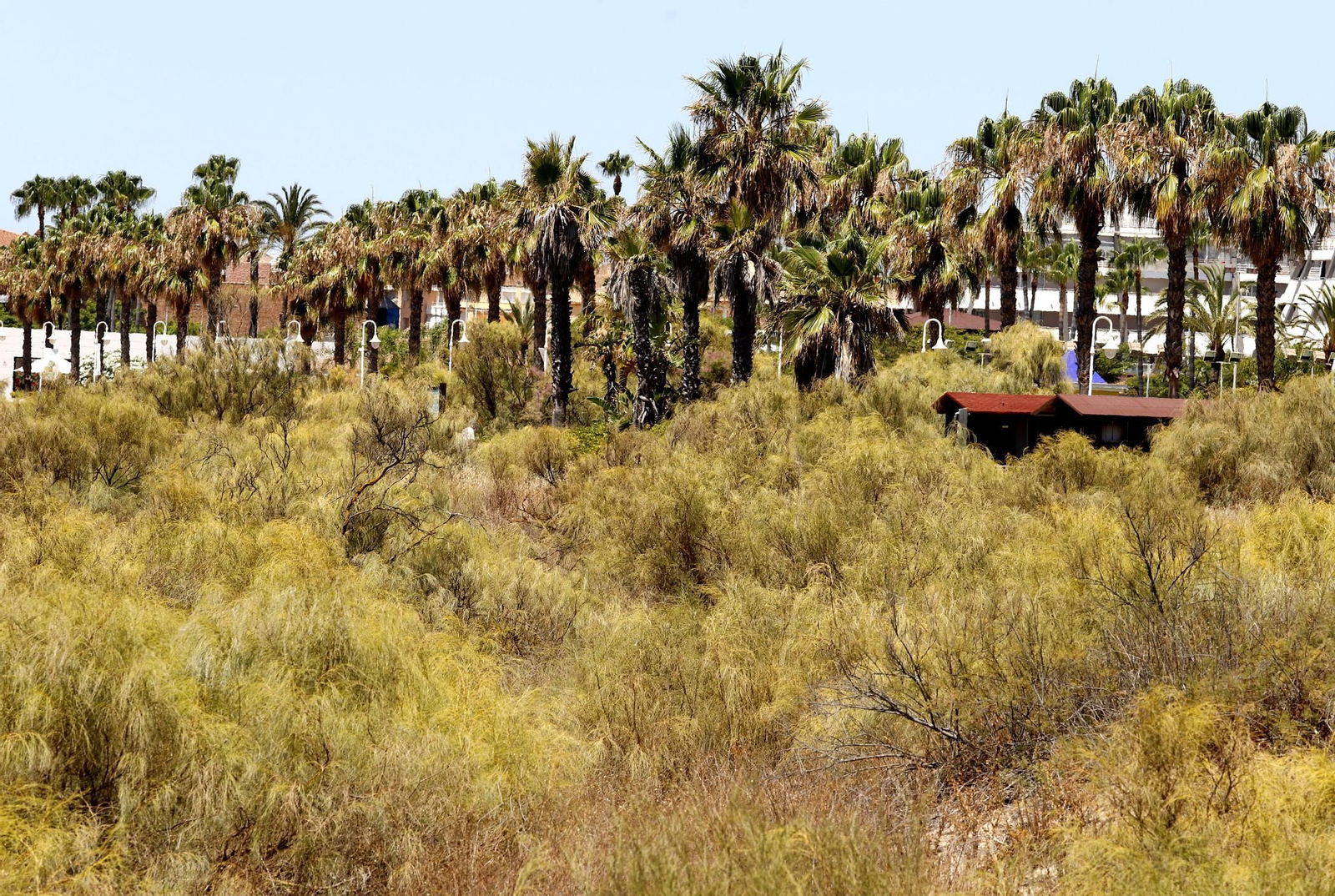 Islantilla kilómetros de paraíso en el litoral onubense