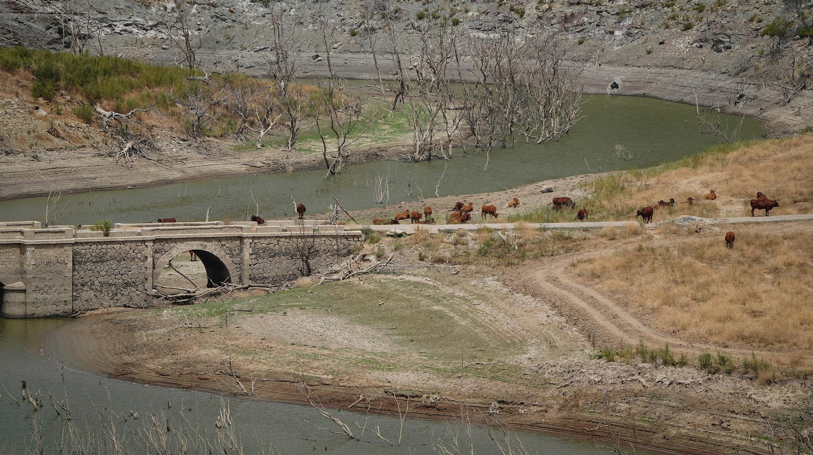Así se encuentran algunos embalses de la provincia