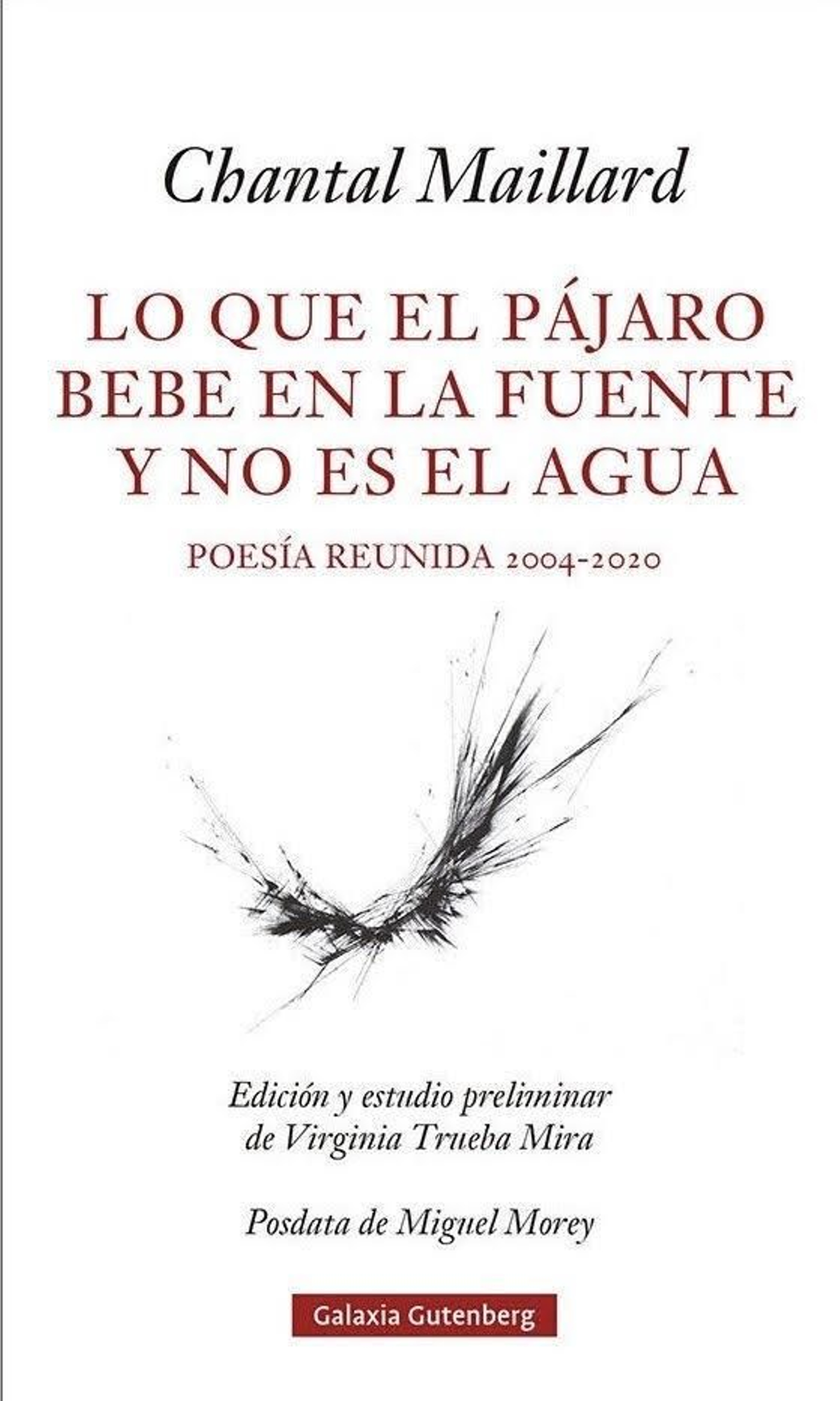 Portada de 'Lo que el pájaro bebe en la fuente y no es el agua'.