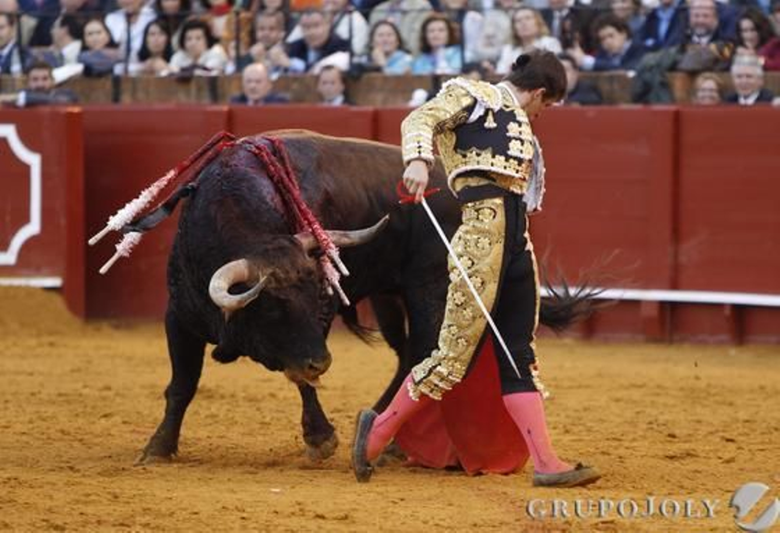 El Juli lidia al sexto toro.

Foto: Juan Carlos Muñoz
