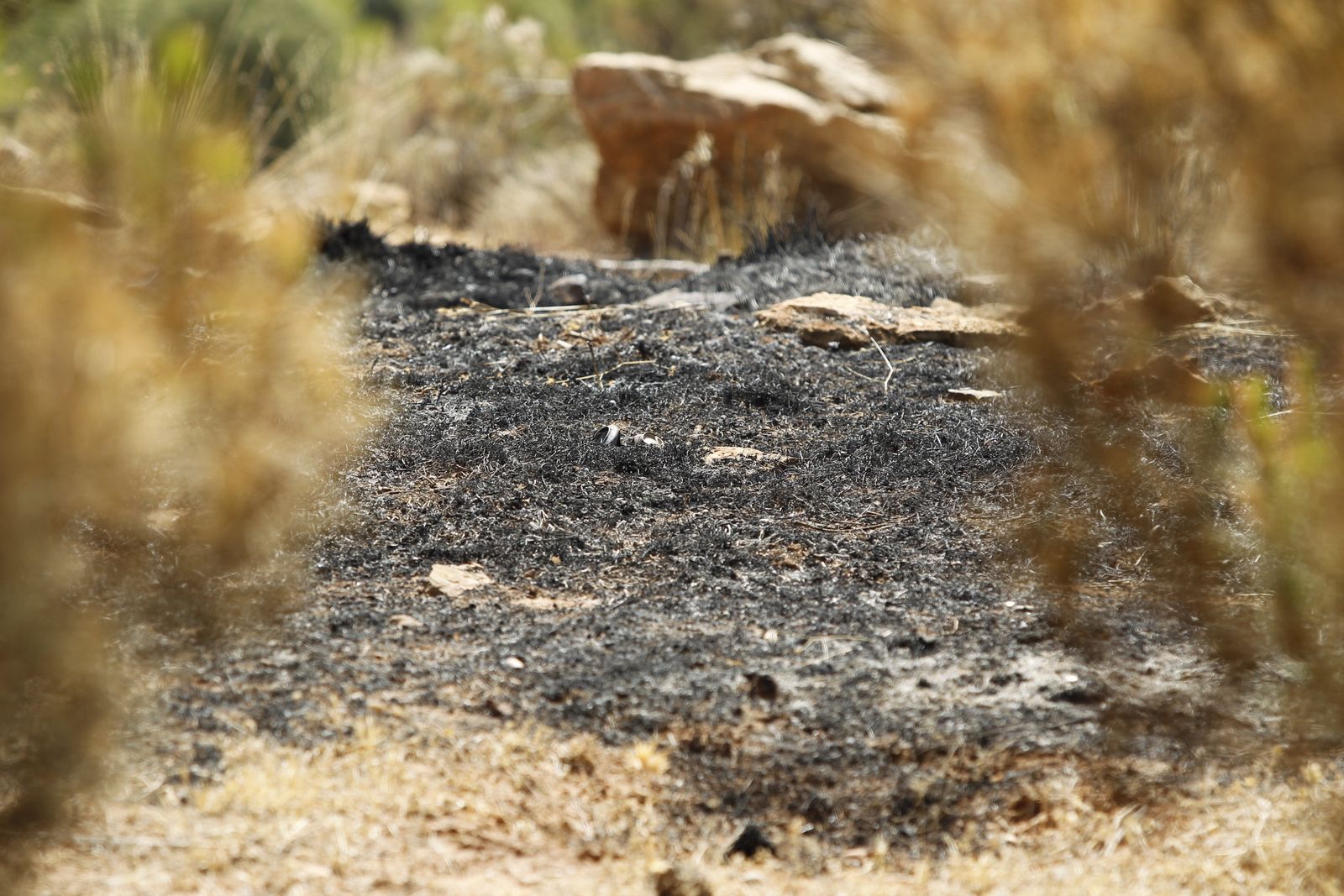 Fotogalería incendio extinguido Sierra de Gádor