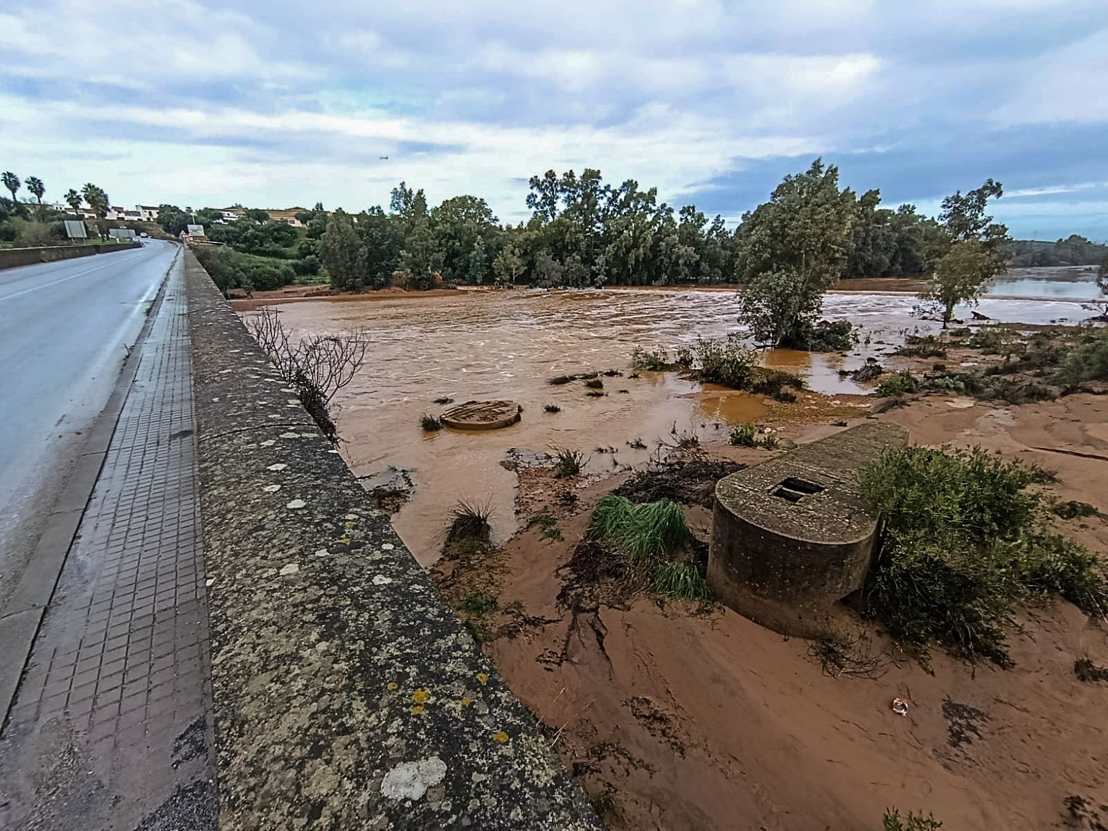 Fotografías del río Tinto a su paso por Niebla
