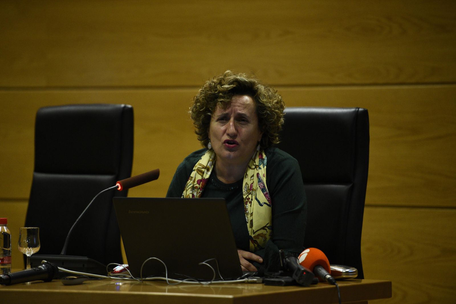 La UGR acogió ayer unas jornadas sobre el caso de Juana Rivas en las que participó Francisca Granados.