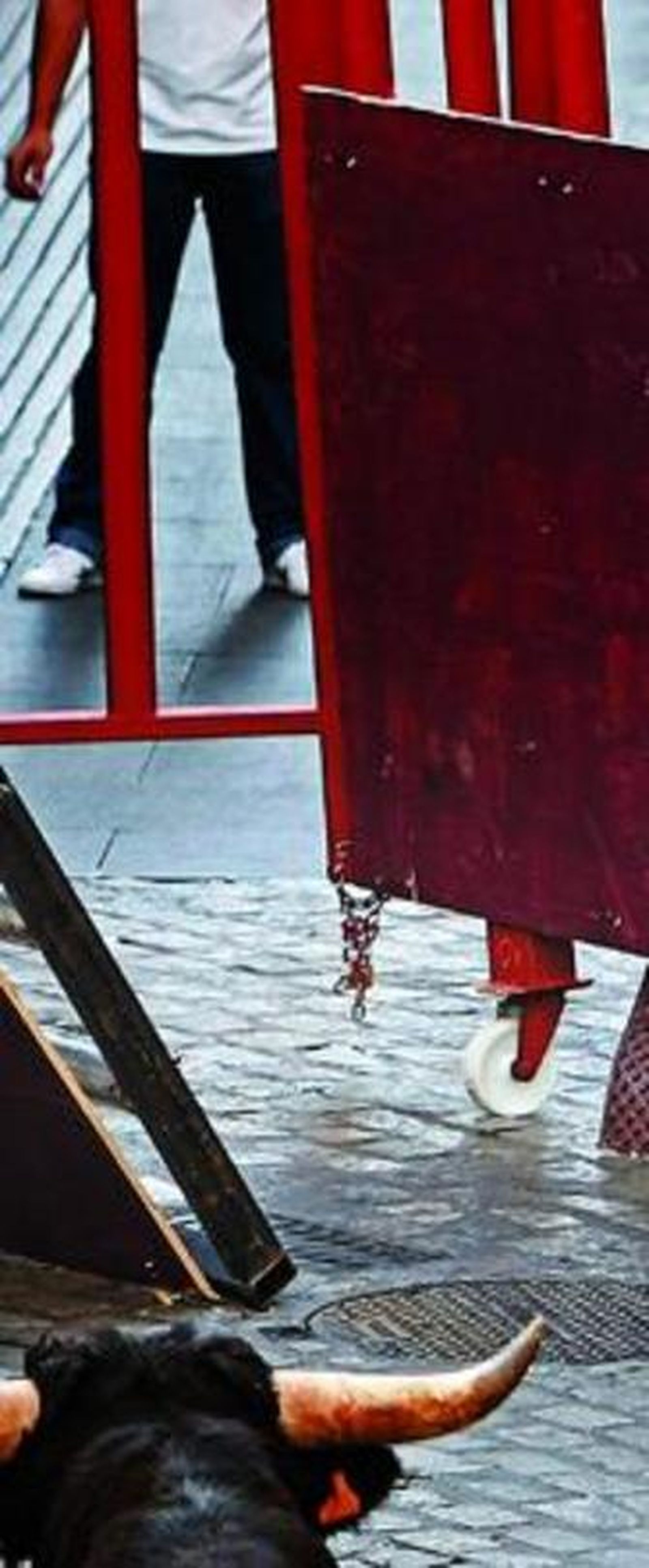 La cadenita que partió el astado y permitió la huida por Barrié.