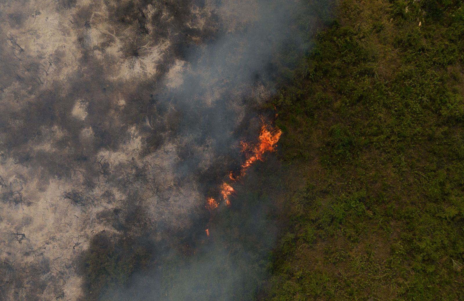 Las llamas convierten en una tumba al aire libre El Pantanal en Brasil