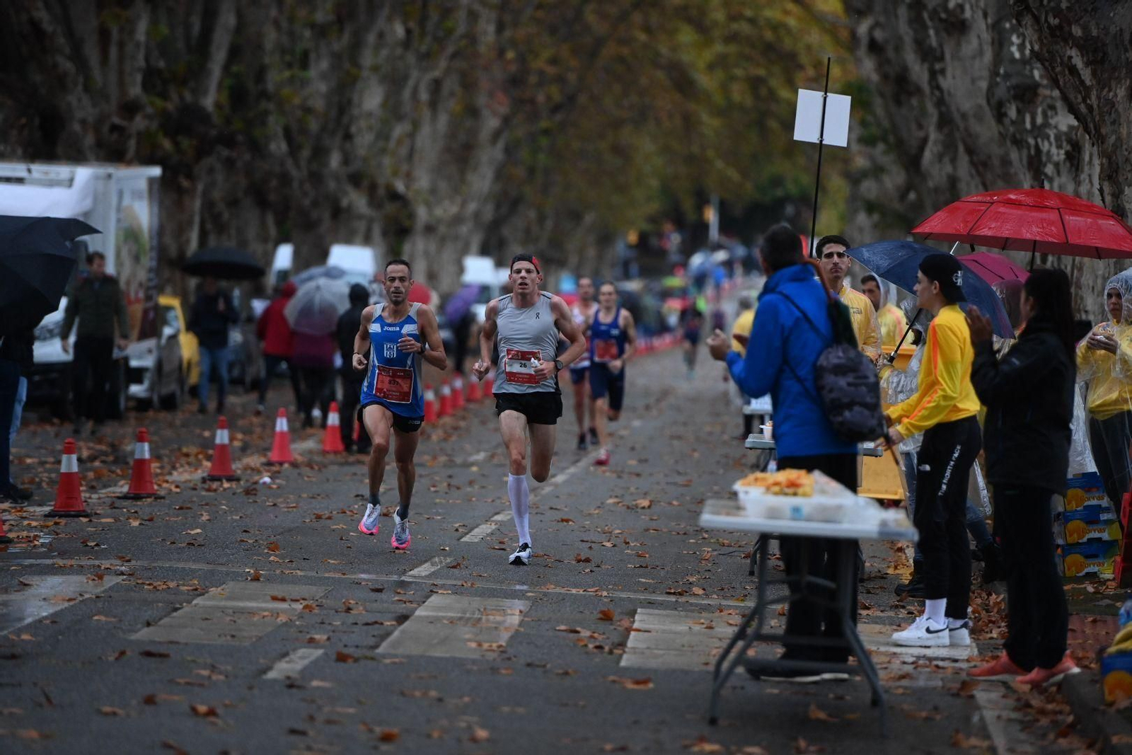 La Maratón de Málaga 2022, en fotos