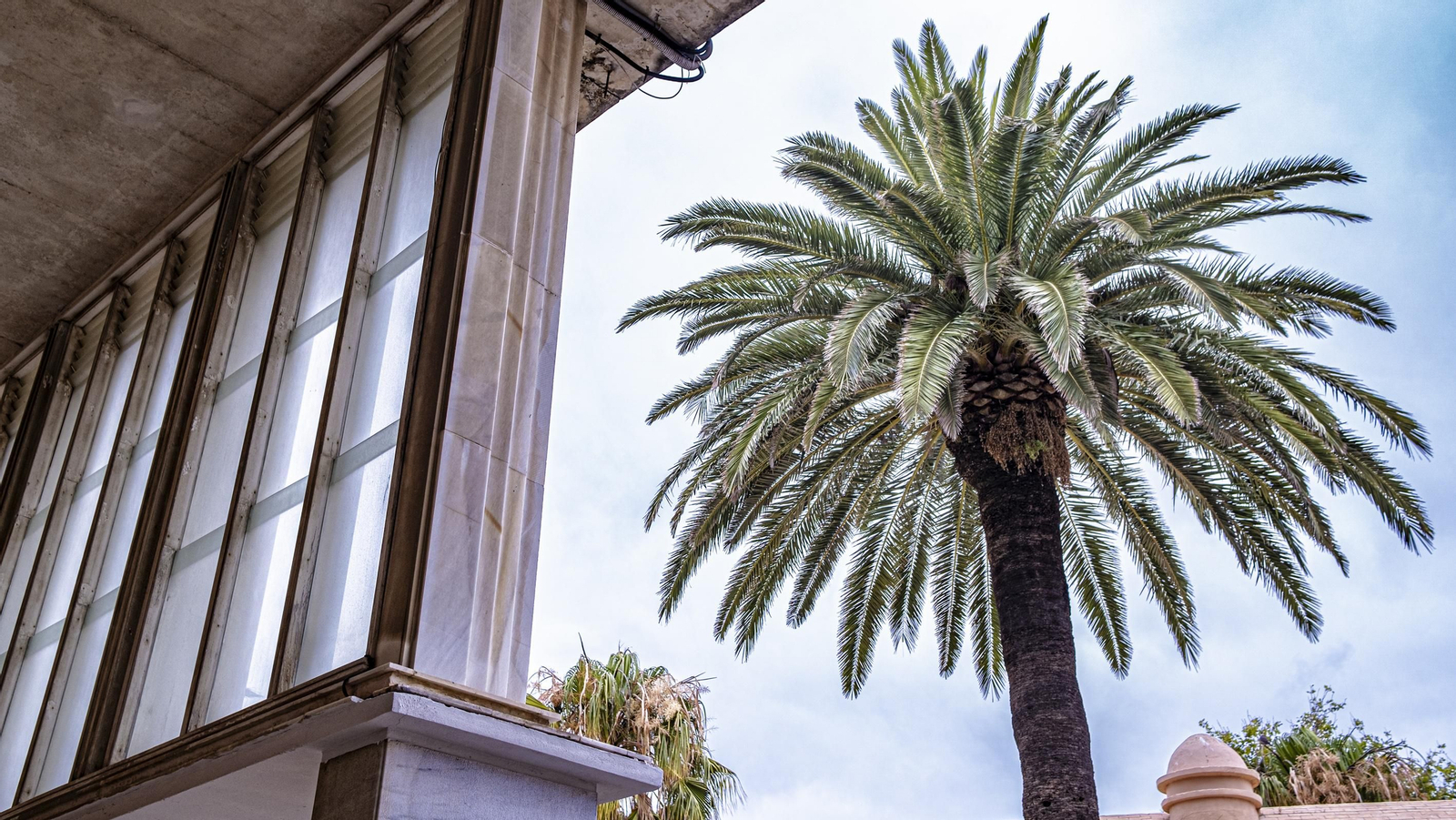 Las imágenes de las obras en el Baluarte de Candelaria de Cádiz