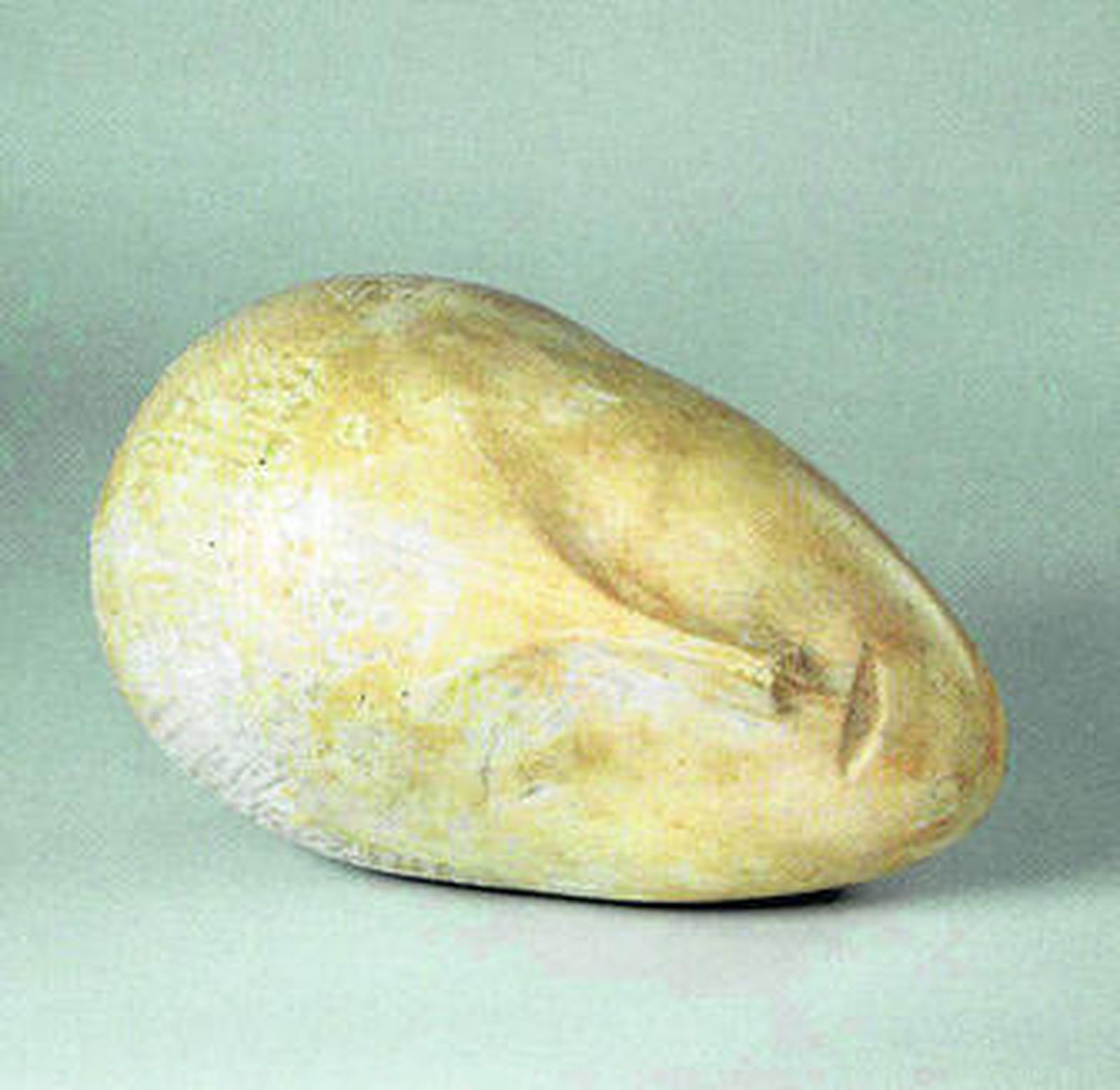 Los nuevos museos de Málaga