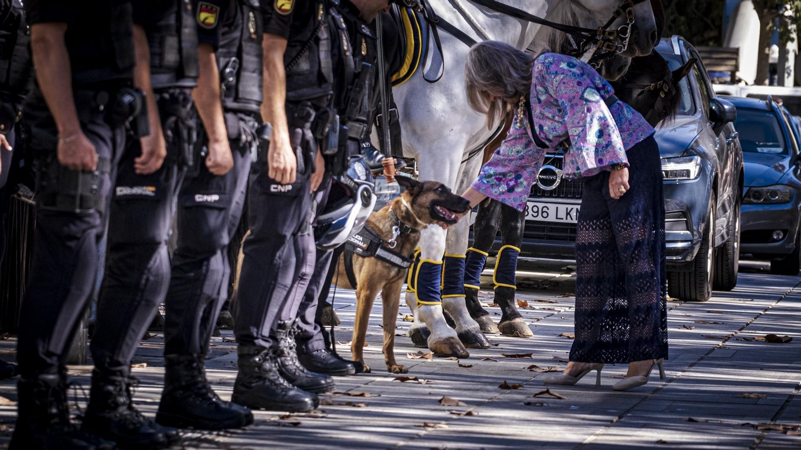Las imágenes de la celebración del acto del Día de la Policía Nacional en Cádiz.