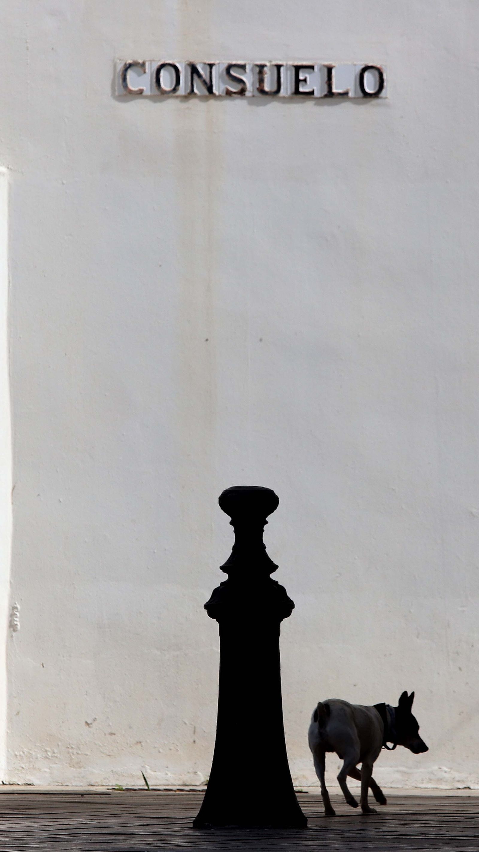 Fotos del confinamiento por el estado de alarma en San Roque