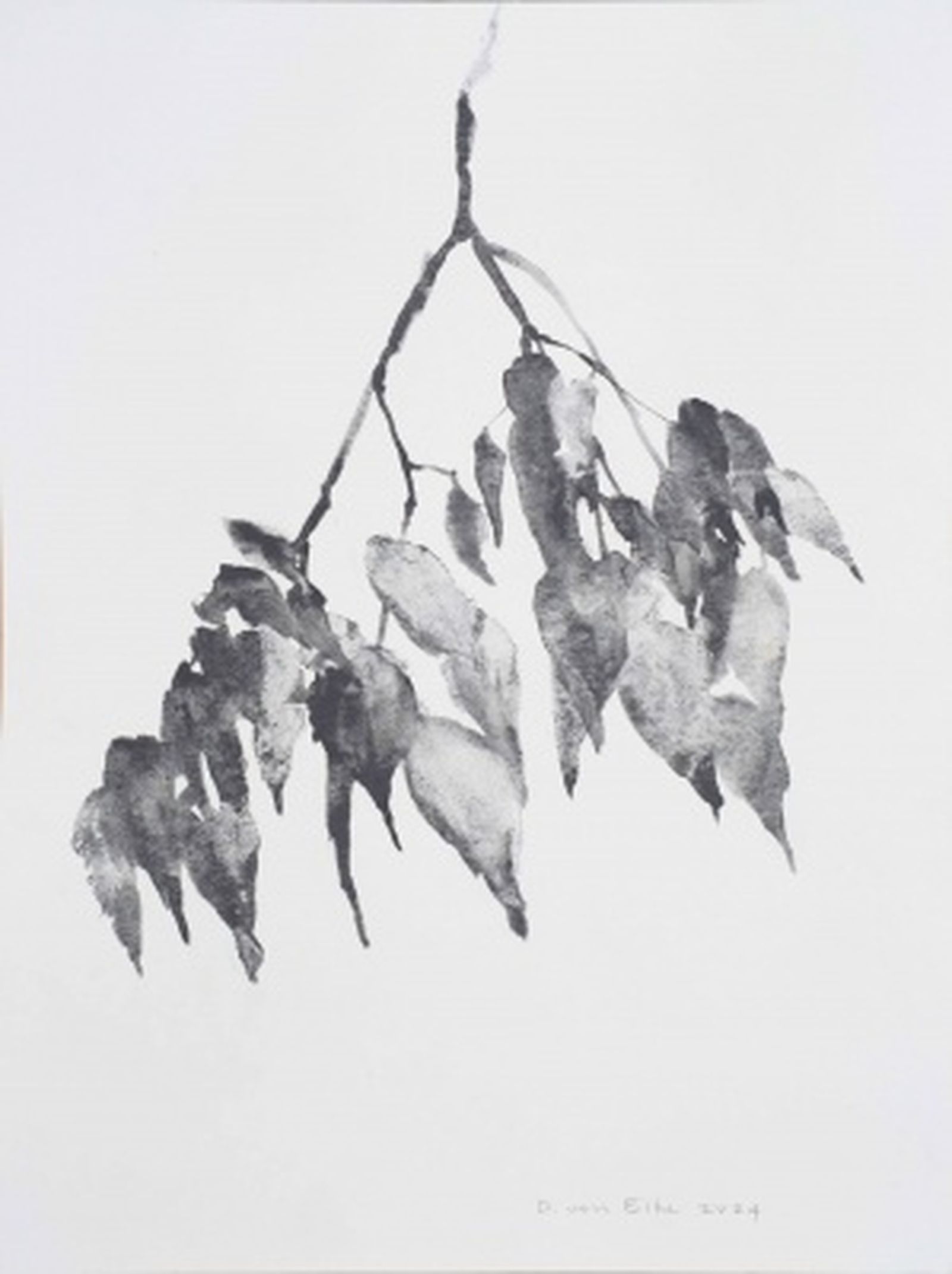 Obra de Dorothea von Elbe.