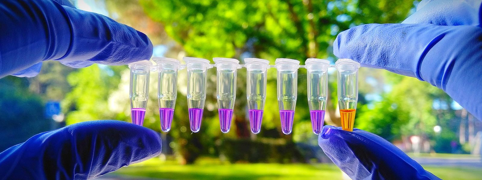 Análisis de muestras en frascos