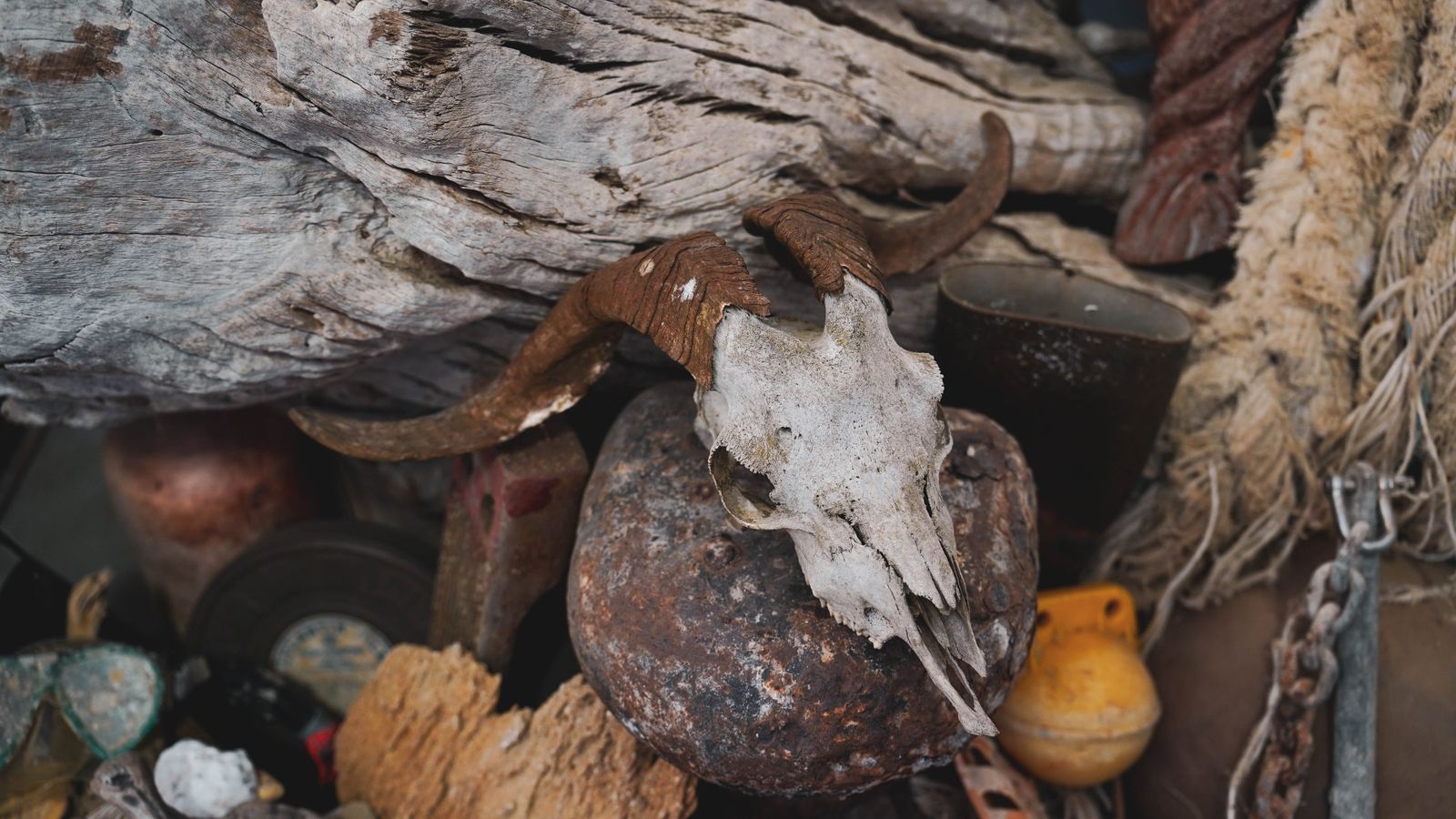 Tarifa Respira una asociación dedicada a la conservación y protección de Tarifa y sus alrededores