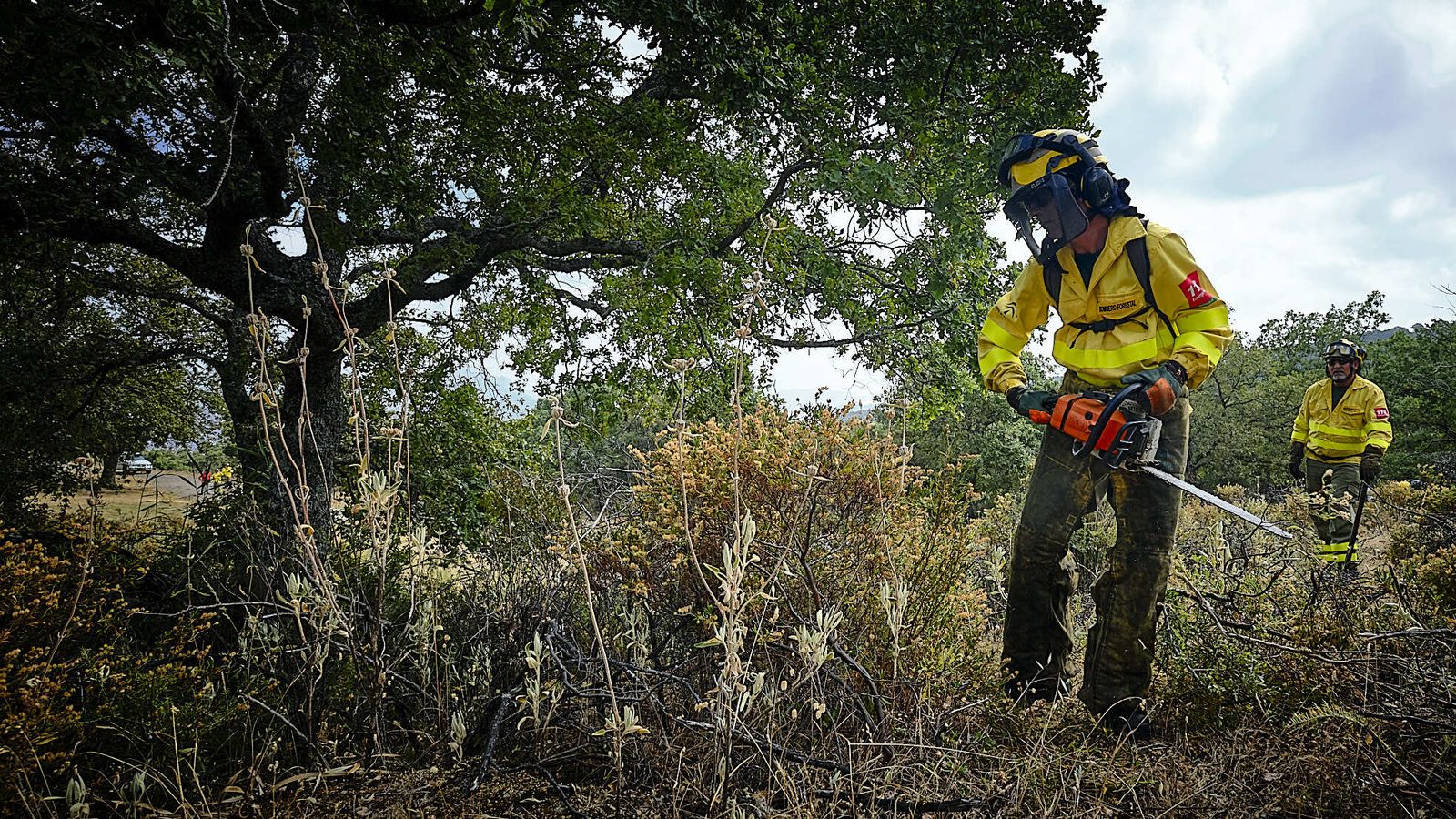 Simulacro de incendio del CEDEFO de Algodonales.
