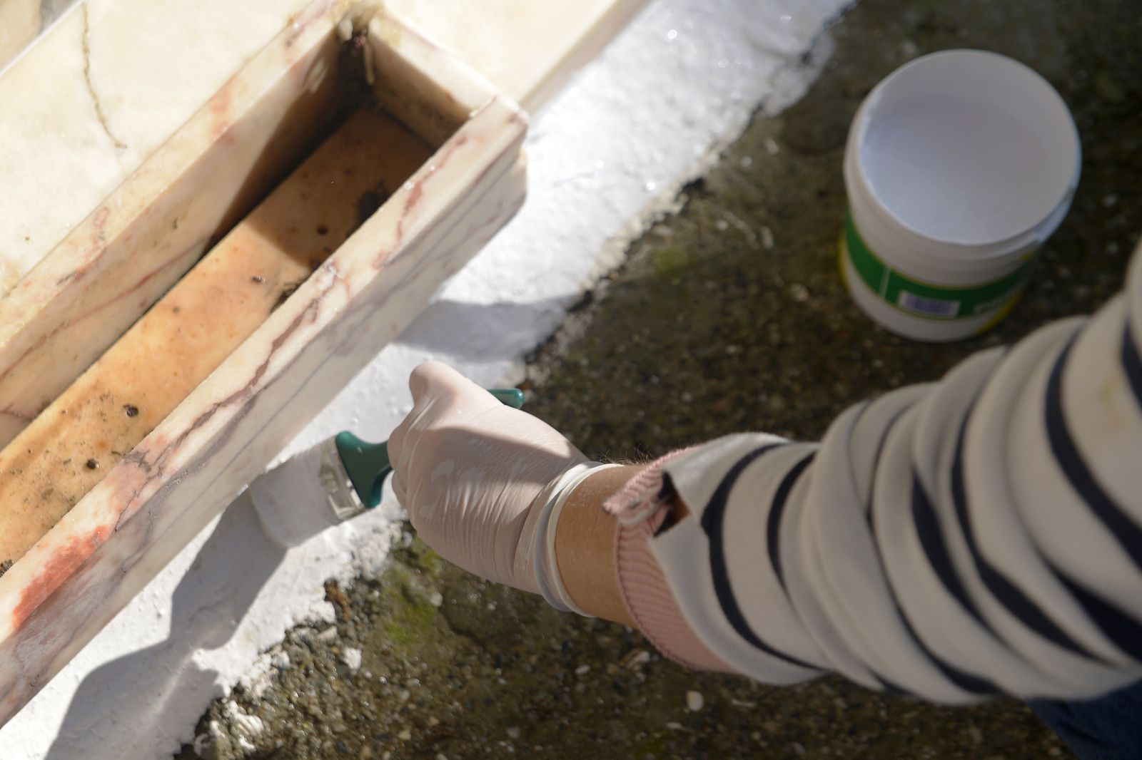 Fotos de la víspera de los Tosantos