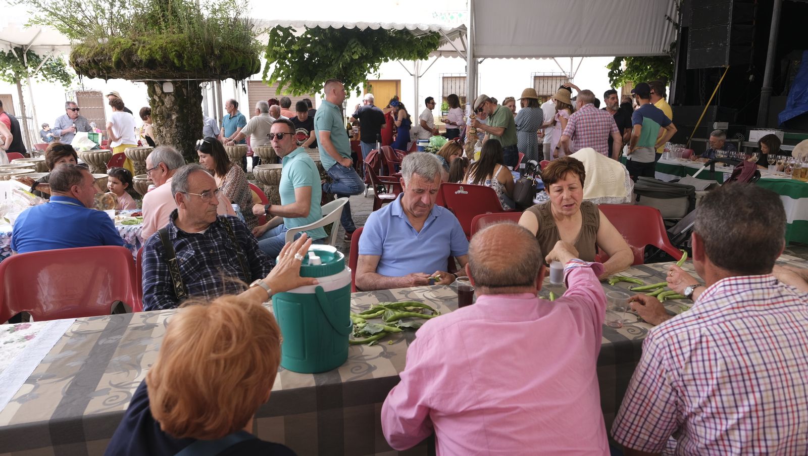 Imágenes del concurso de cata de vinos de las Fiestas de Abrucena 2022