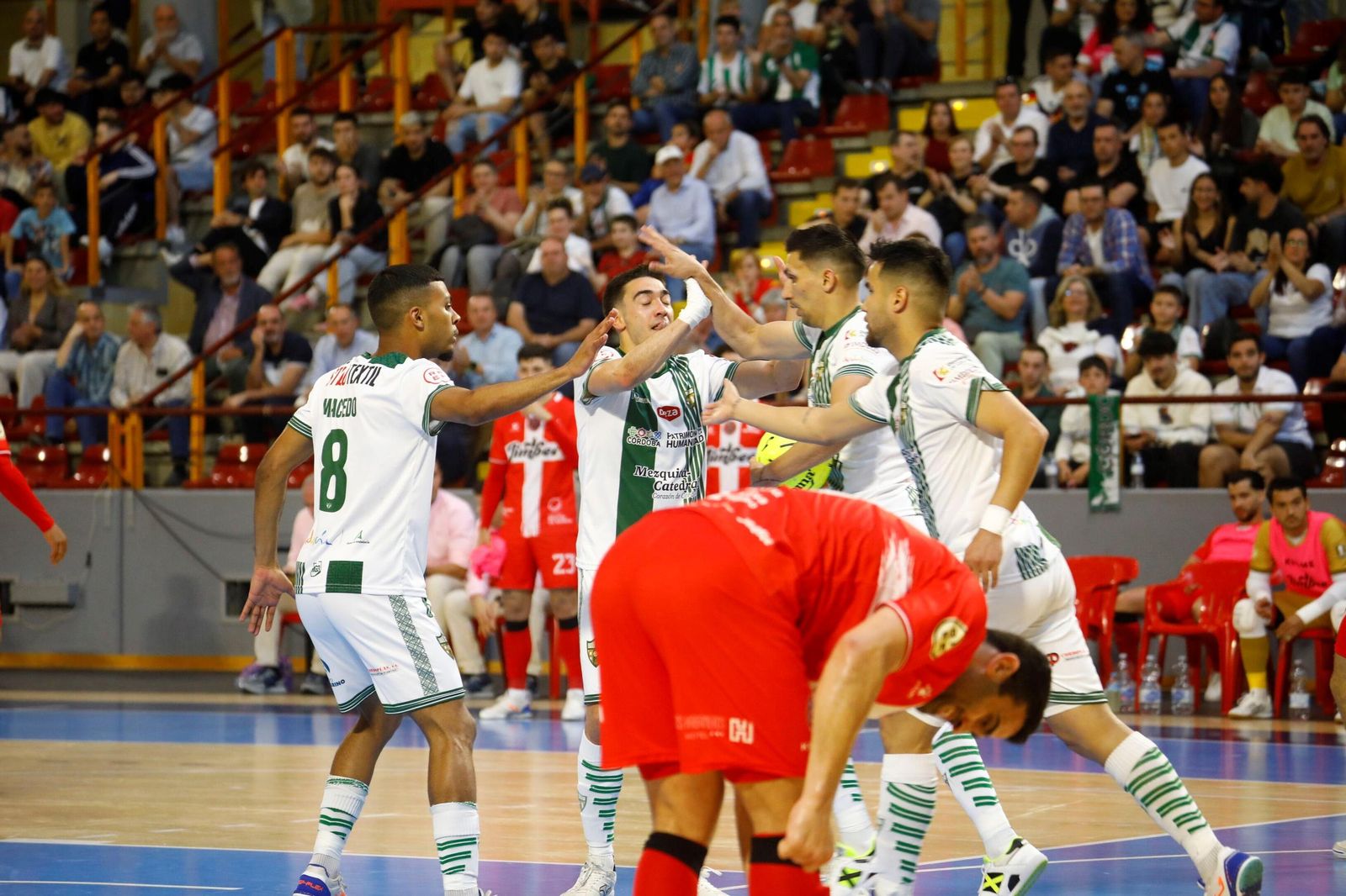 Las mejores fotos del ambiente en Vista Alegre para el Córdoba Futsal - Jimbee Cartagena