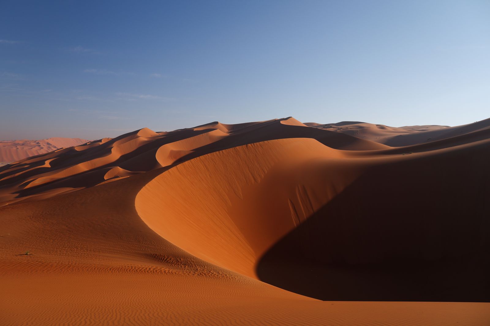 Las mejores fotos del Dakar por las dunas