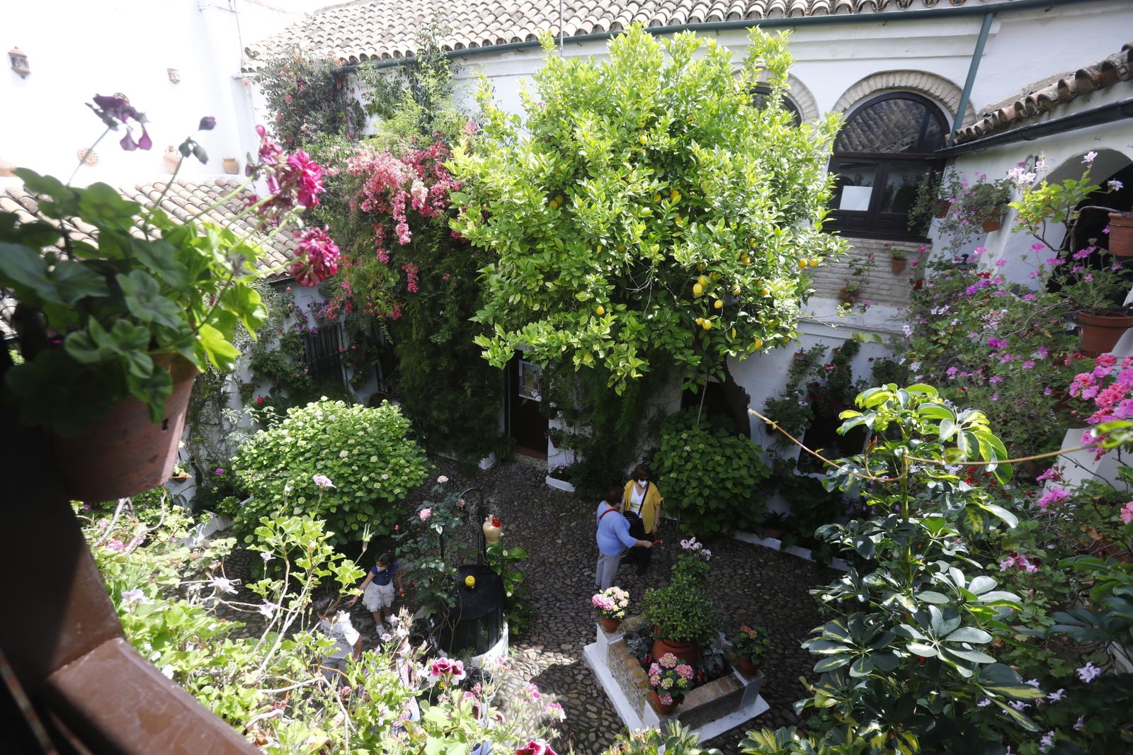 Fotografías: Sábado de colas y bulla en los Patios de Córdoba