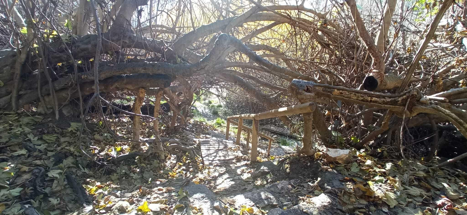 Las imágenes de la ruta del Bosque Encantado de Higueras