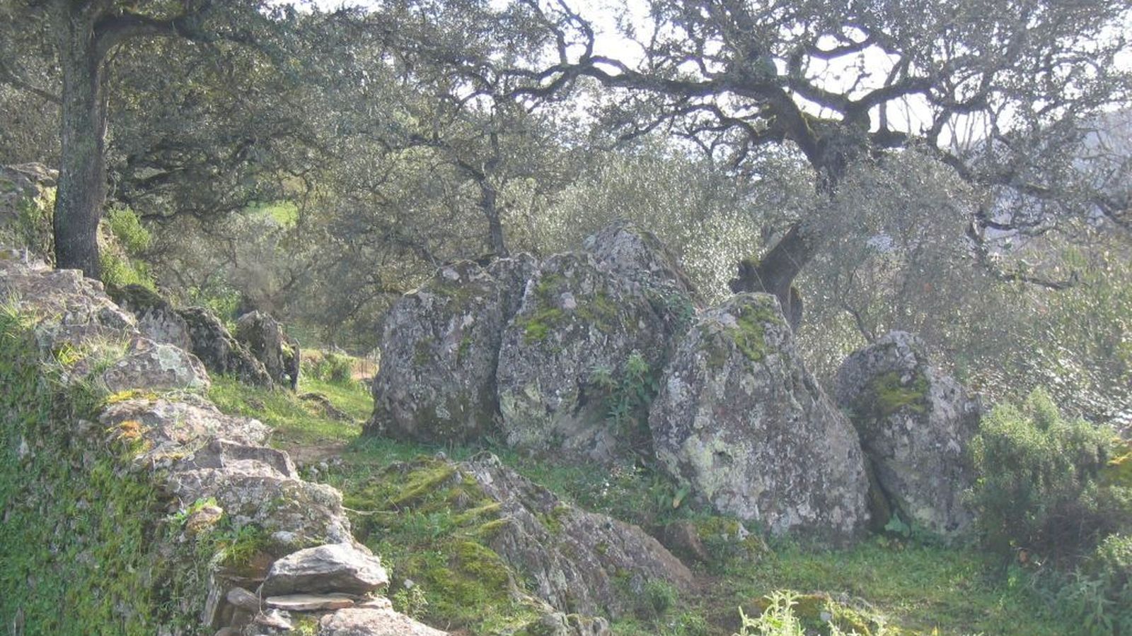 Cañaveral de León - Ribera de Hinojales