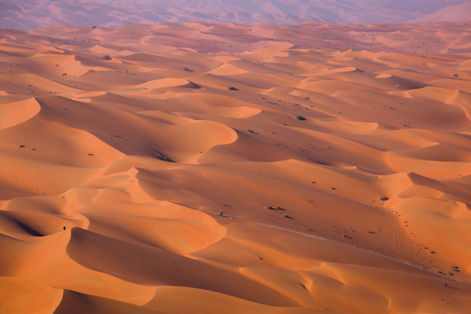 Las mejores fotos del Dakar por las dunas