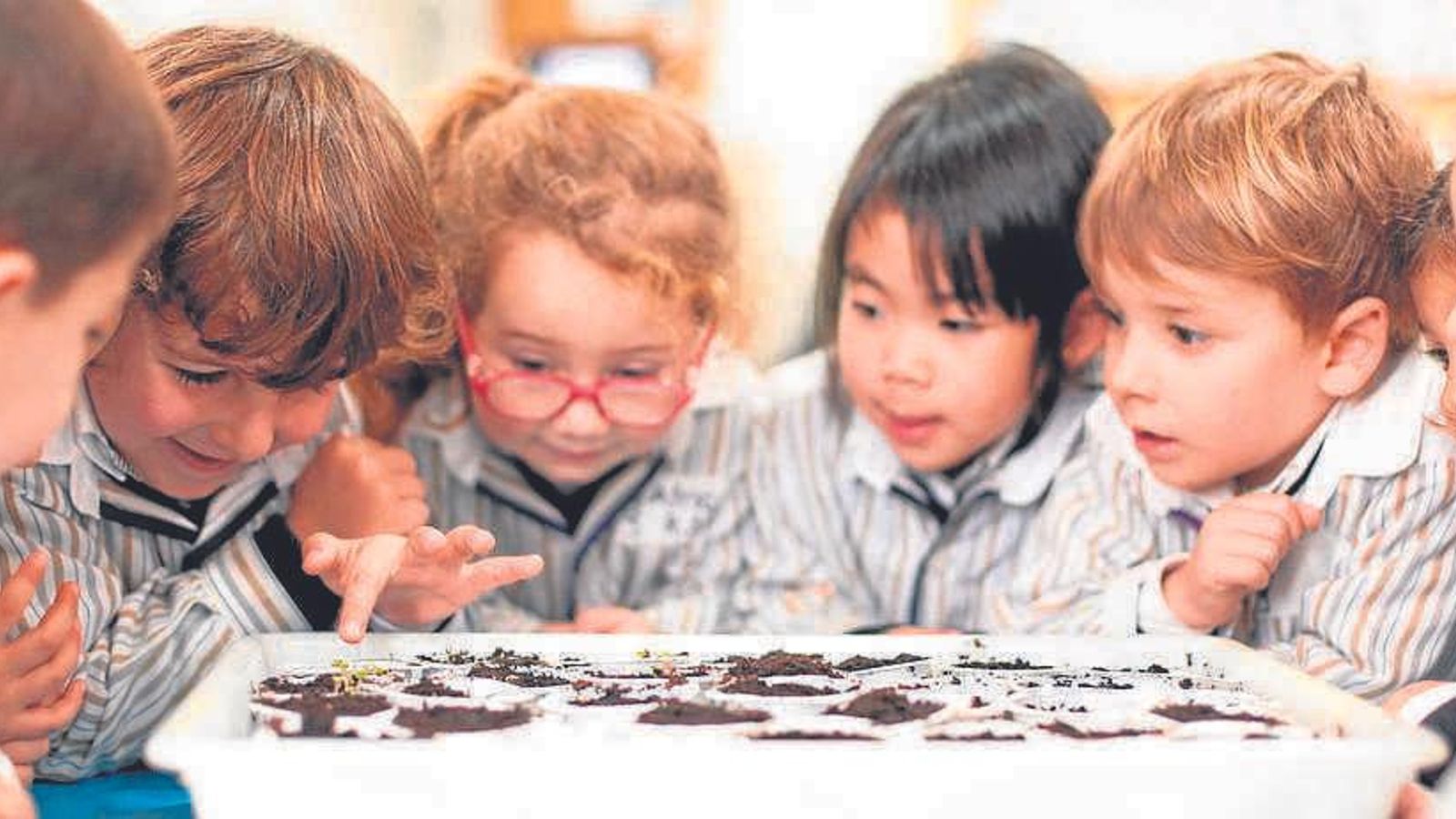 Los alumnos disfrutan desde su primer día de colegio.