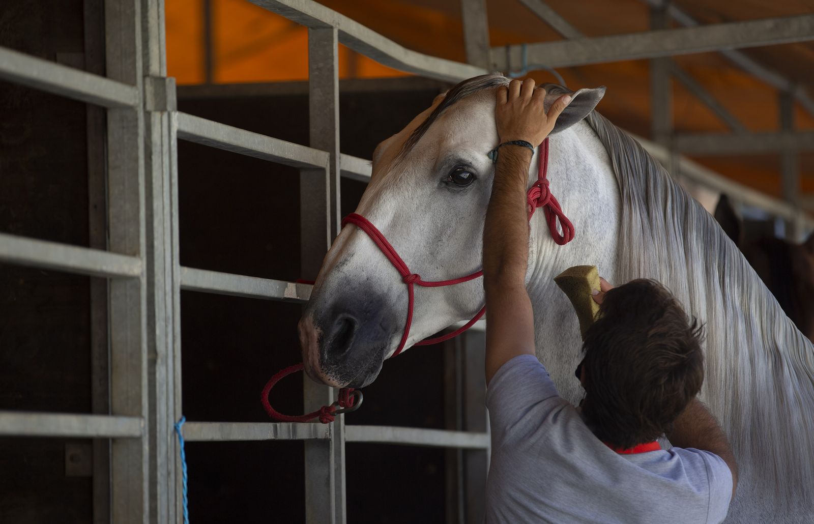 Imágenes de Sicab 2020 en la reanudación de las pruebas en Fibes