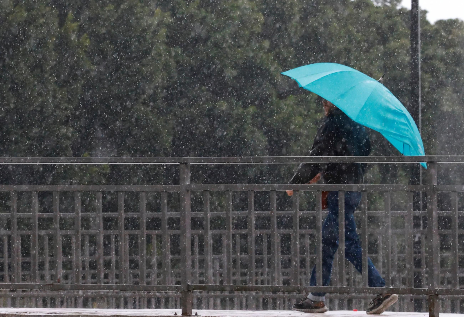 Un hombre paseando bajo la lluvia protegido por un paraguas esta semana. Un hombre paseando bajo la lluvia protegido por un paraguas esta semana.