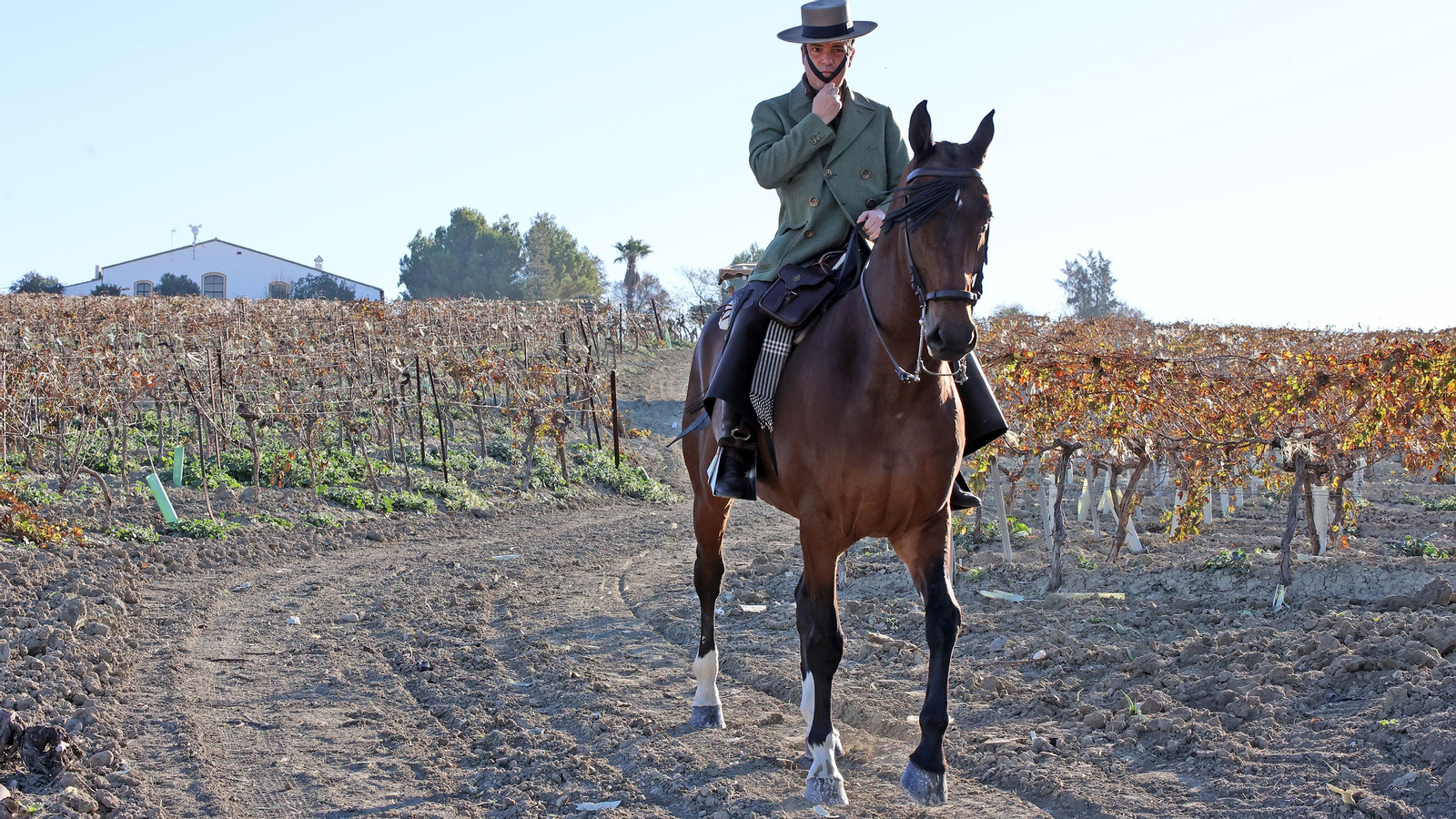 II Ruta Viñas de Jerez