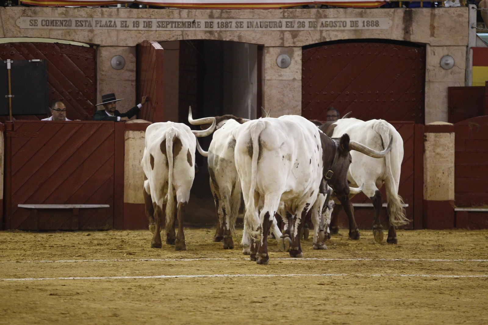 Las mejores imágenes de los toreros Fortes, Juan Ortega y David de Miranda en la Feria de Almería 2025