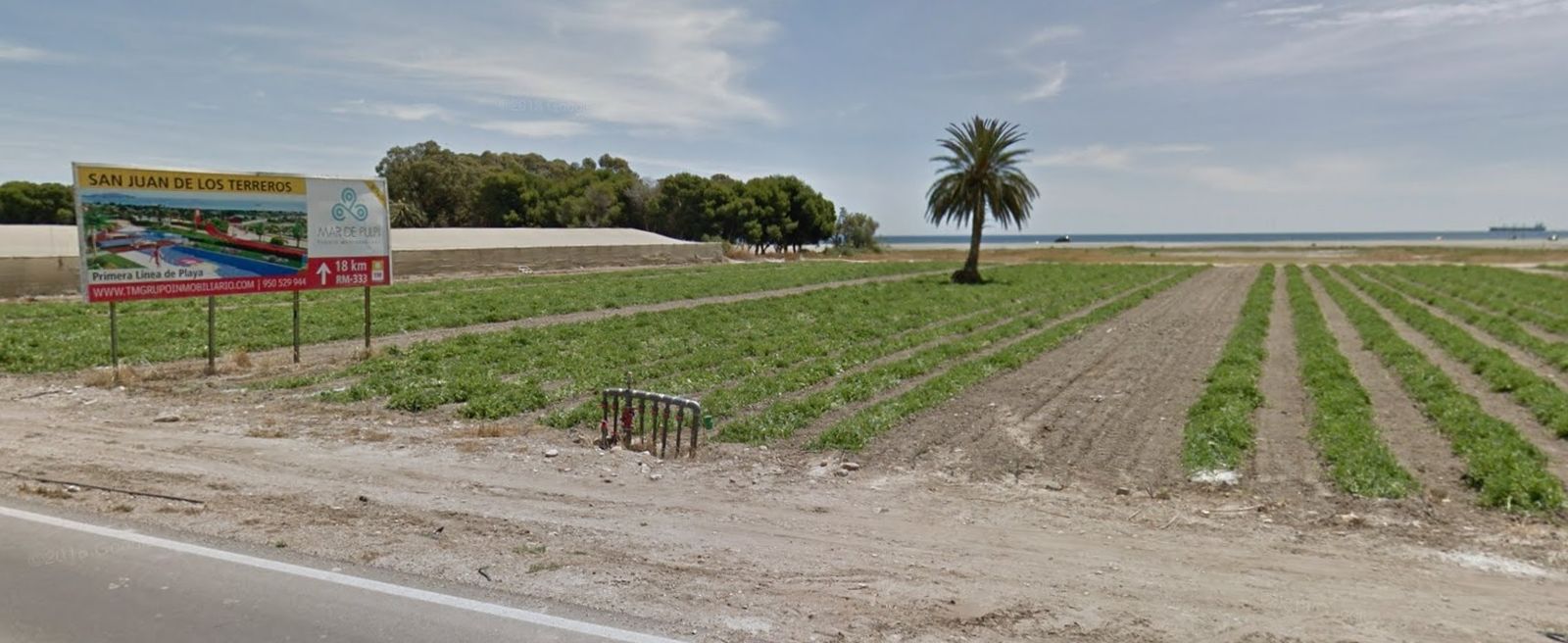 Primera línea de playa en Palomares, actualmente dedicada a cultivos.