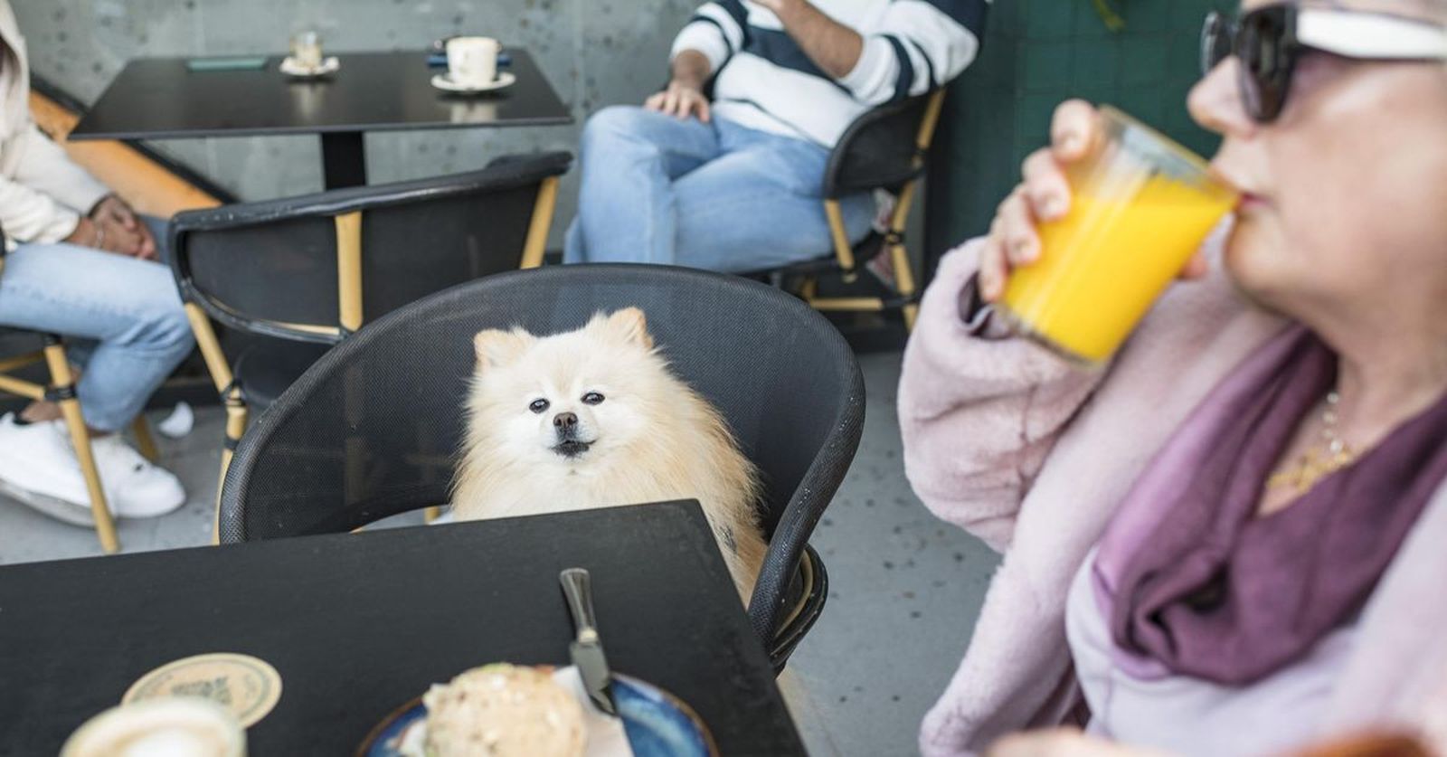 Imagen de archivo de una mujer desayunando junto a su mascota