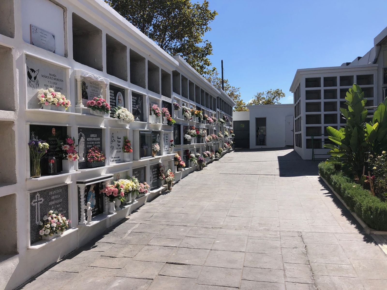 El cementerio de Los Barrios.