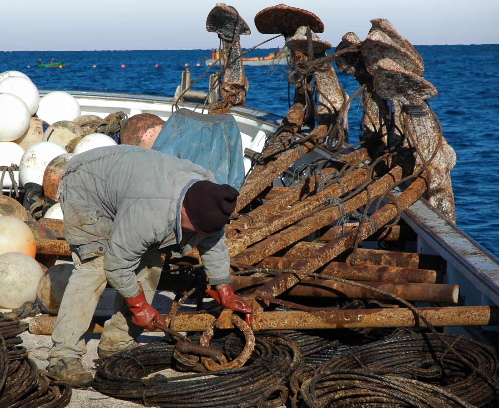 Actividad almadrabera