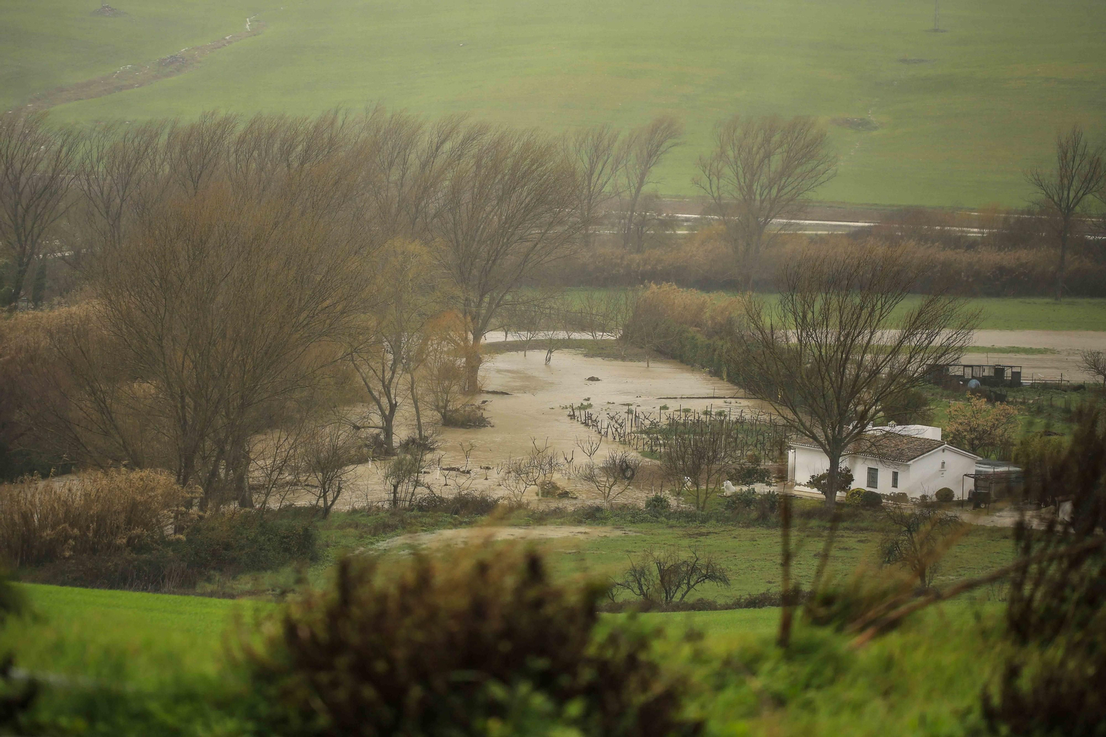 Temporal de viento y lluvia en la provincia