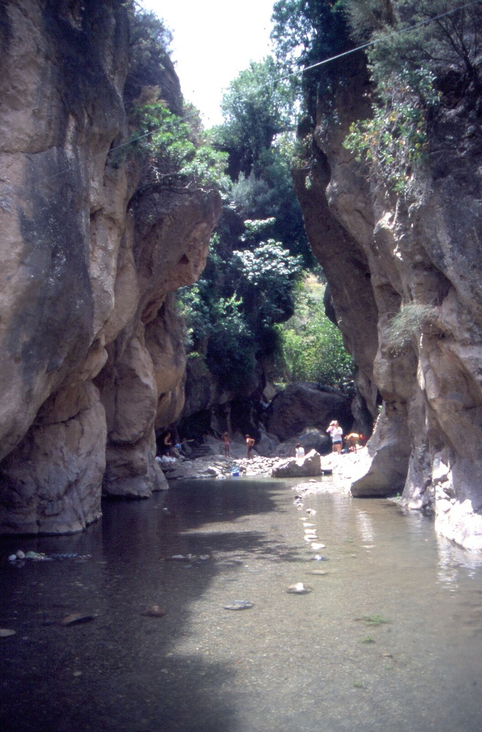 Un pleito histórico.